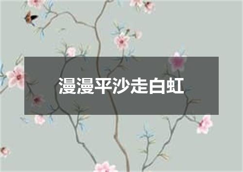 漫漫平沙走白虹