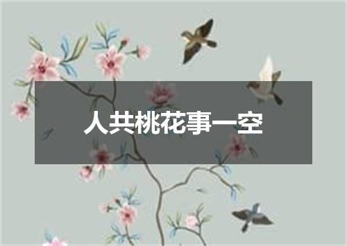 人共桃花事一空