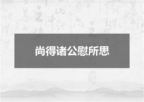 尚得诸公慰所思