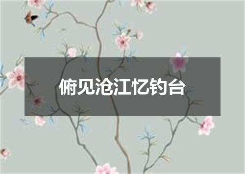 俯见沧江忆钓台