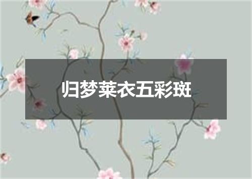 归梦莱衣五彩斑