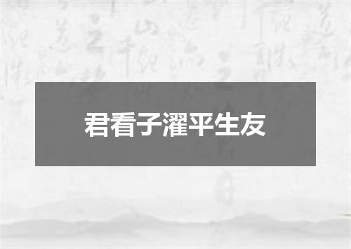 君看子濯平生友