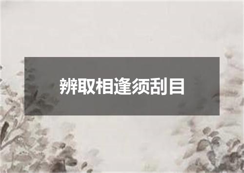 辨取相逢须刮目