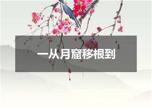 一从月窟移根到