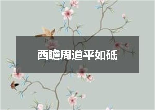 西瞻周道平如砥