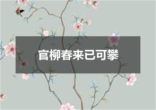 官柳春来已可攀