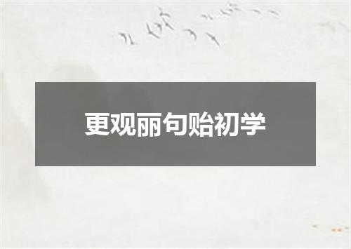 更观丽句贻初学