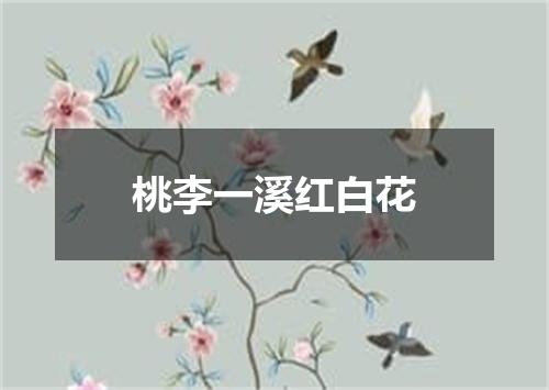 桃李一溪红白花