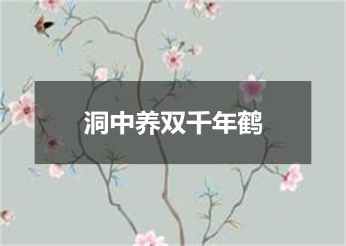 洞中养双千年鹤