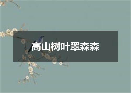 高山树叶翠森森