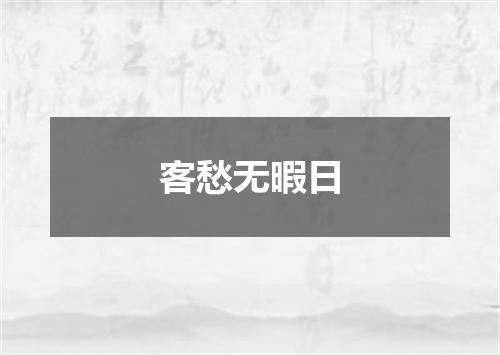 客愁无暇日