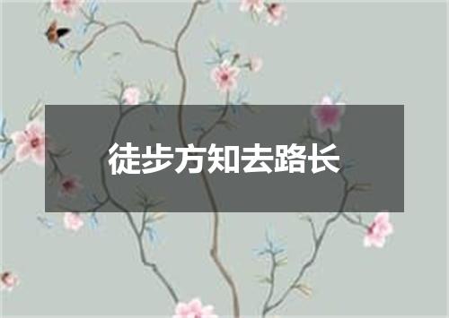 徒步方知去路长