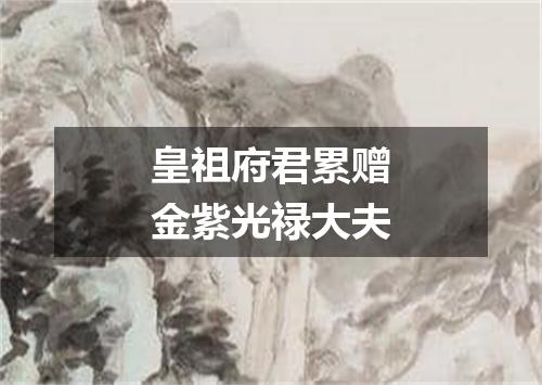 皇祖府君累赠金紫光禄大夫