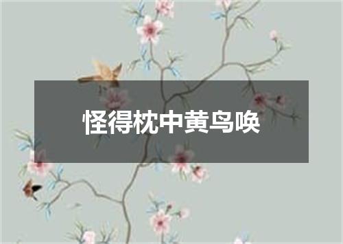 怪得枕中黄鸟唤