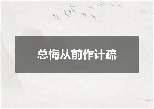 总悔从前作计疏