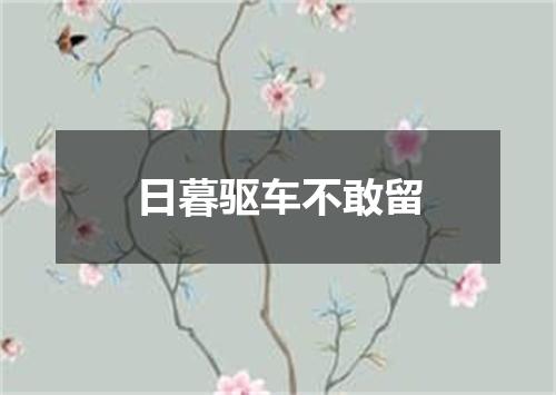 日暮驱车不敢留