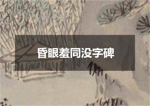 昏眼羞同没字碑