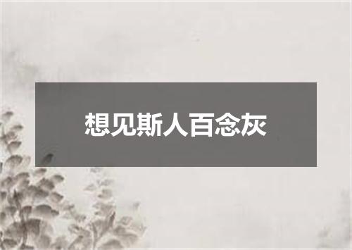 想见斯人百念灰