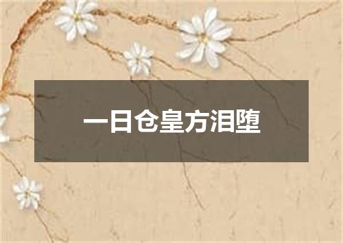 一日仓皇方泪堕