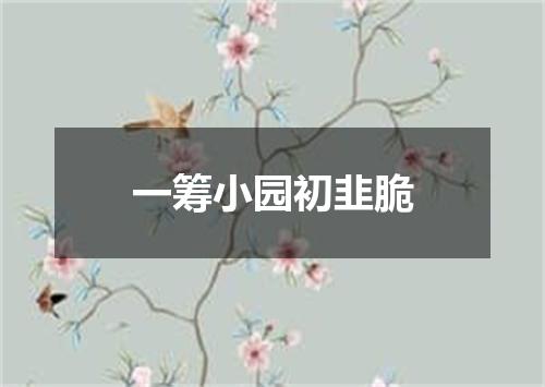 一筹小园初韭脆