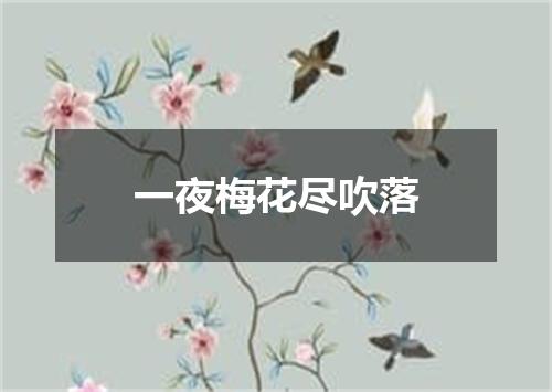 一夜梅花尽吹落