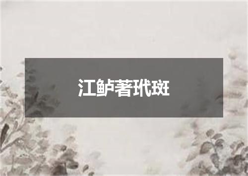 江鲈著玳斑