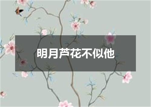 明月芦花不似他