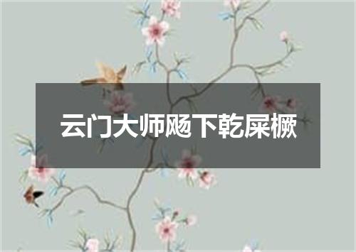 云门大师飏下乾屎橛