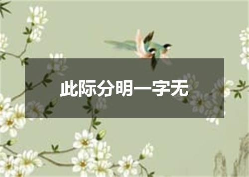 此际分明一字无