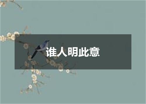 谁人明此意