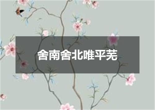 舍南舍北唯平芜