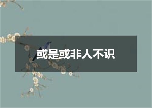 或是或非人不识