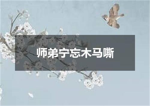 师弟宁忘木马嘶