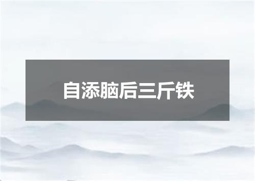 自添脑后三斤铁