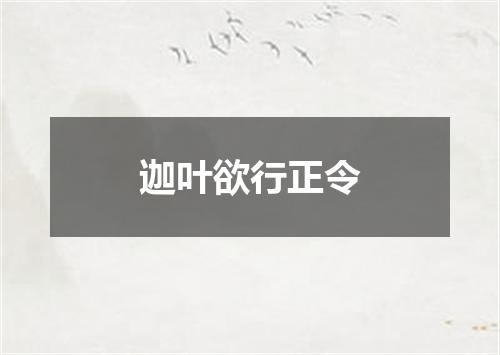 迦叶欲行正令