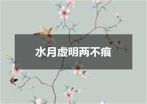 水月虚明两不痕