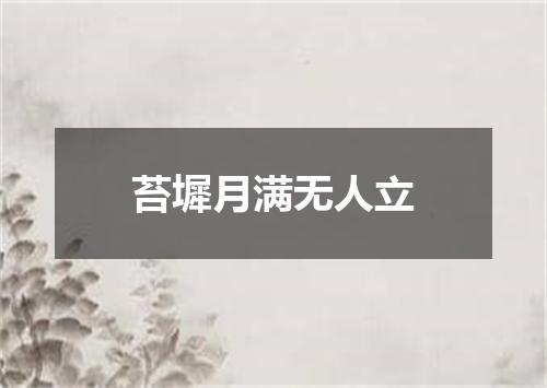 苔墀月满无人立