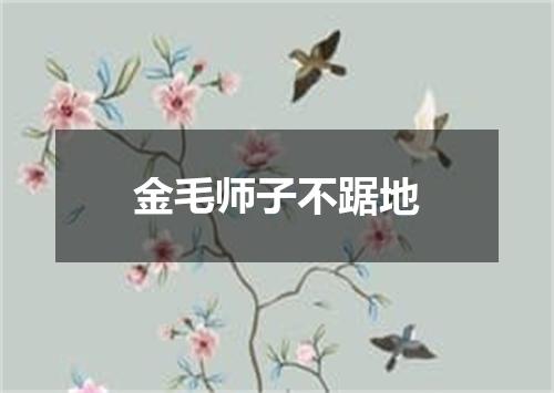 金毛师子不踞地