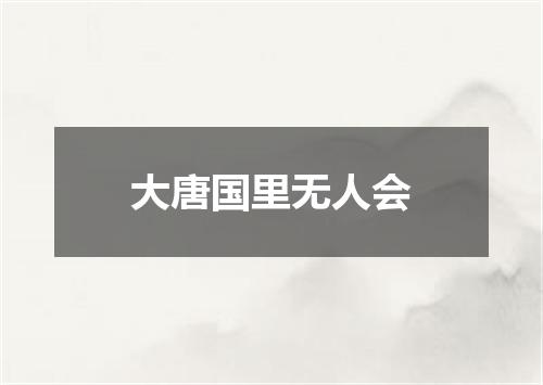 大唐国里无人会