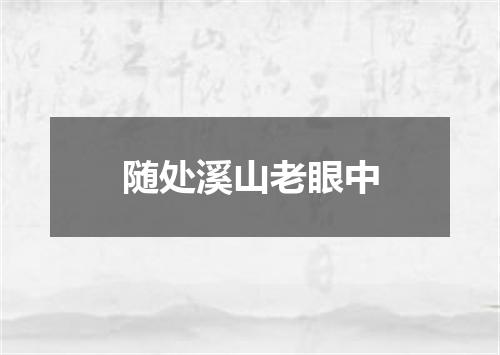 随处溪山老眼中