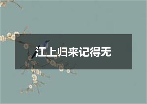 江上归来记得无