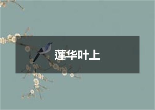 莲华叶上