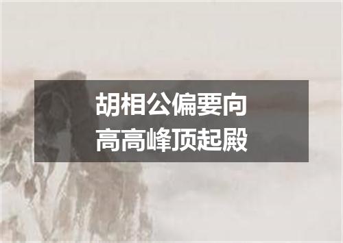 胡相公偏要向高高峰顶起殿