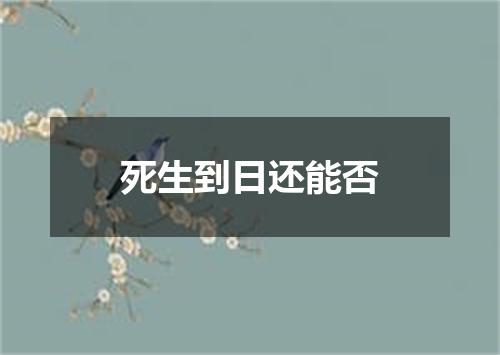 死生到日还能否