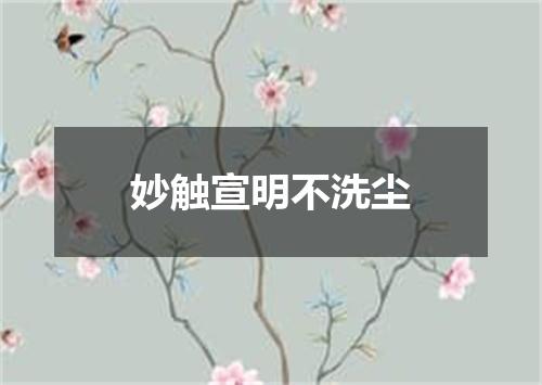 妙触宣明不洗尘