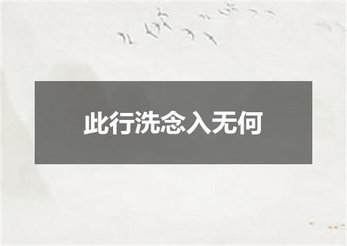 此行洗念入无何