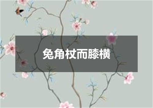 兔角杖而膝横