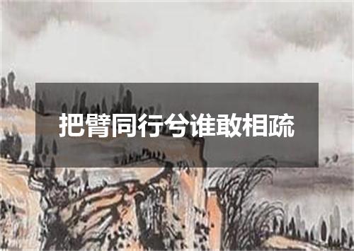 把臂同行兮谁敢相疏