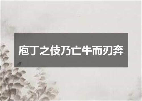 庖丁之伎乃亡牛而刃奔