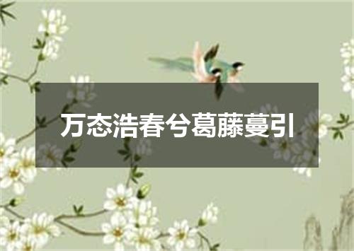 万态浩春兮葛藤蔓引